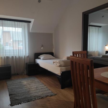 Apartments & Accommodation Stojic نوفي ساد الغرفة الصورة