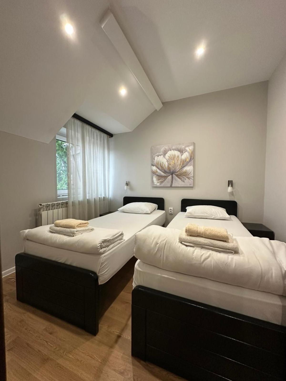 Apartments & Accommodation Stojic نوفي ساد المظهر الخارجي الصورة